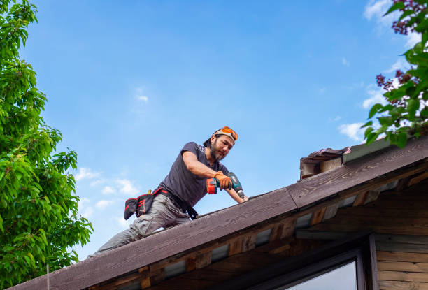 Best Roof Moss and Algae Removal  in Telluride, CO